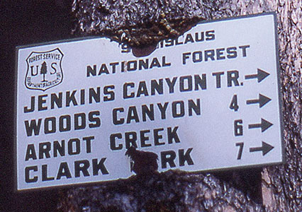 jenkins canyon